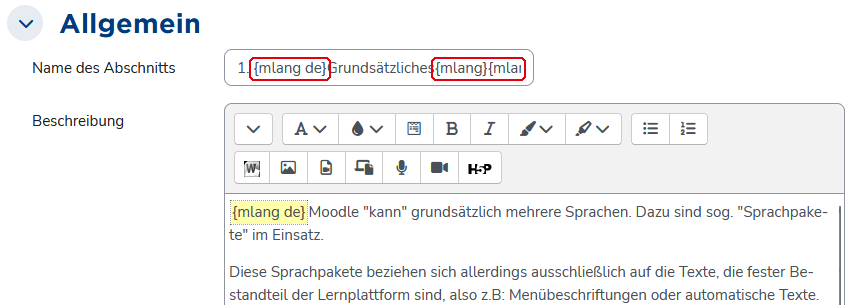 Abschnittsbenennung mit Mehrsprachigkeits-Auszeichnung